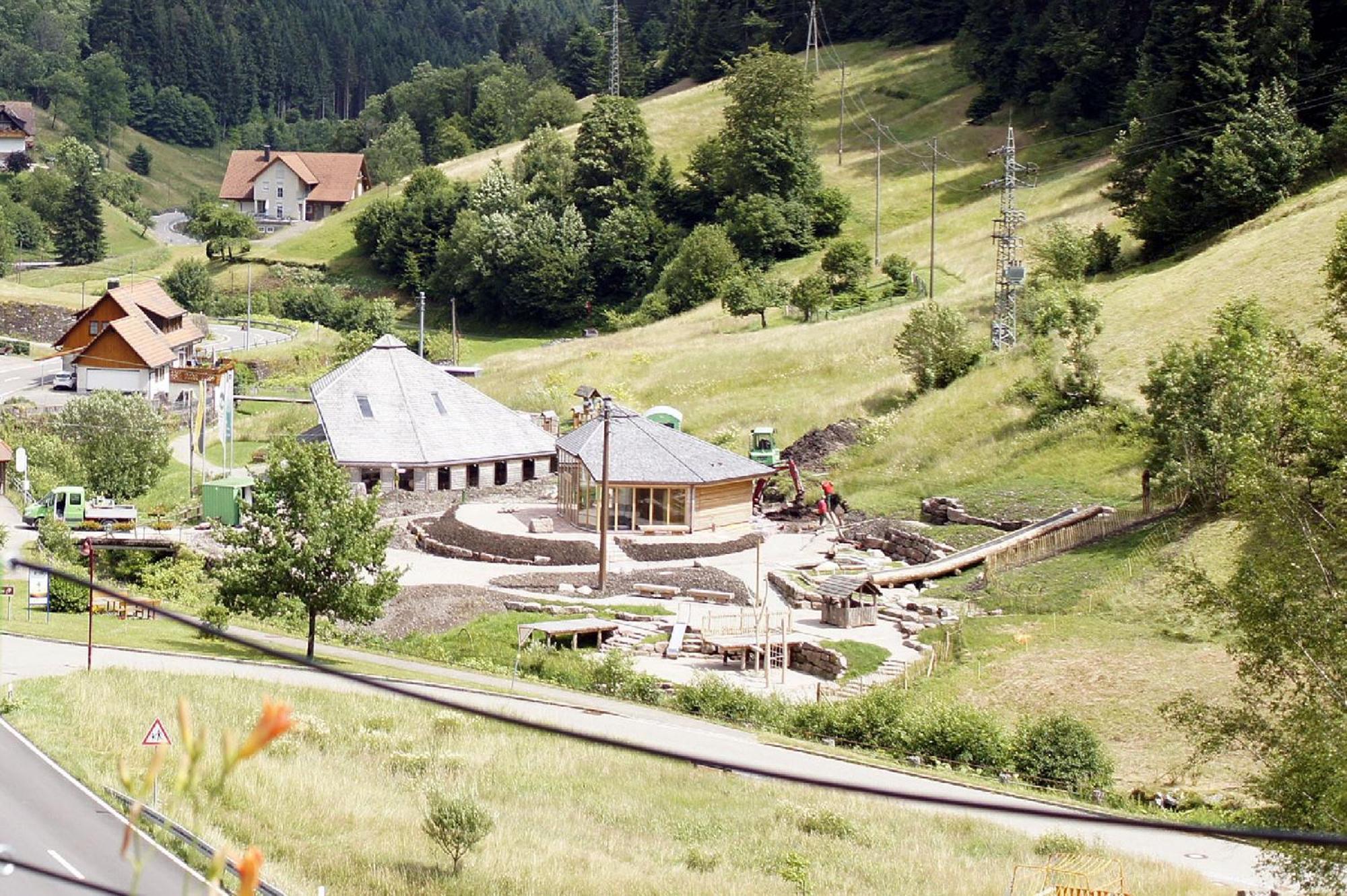 Landpension Am Sommerhang Bad Rippoldsau-Schapbach Buitenkant foto
