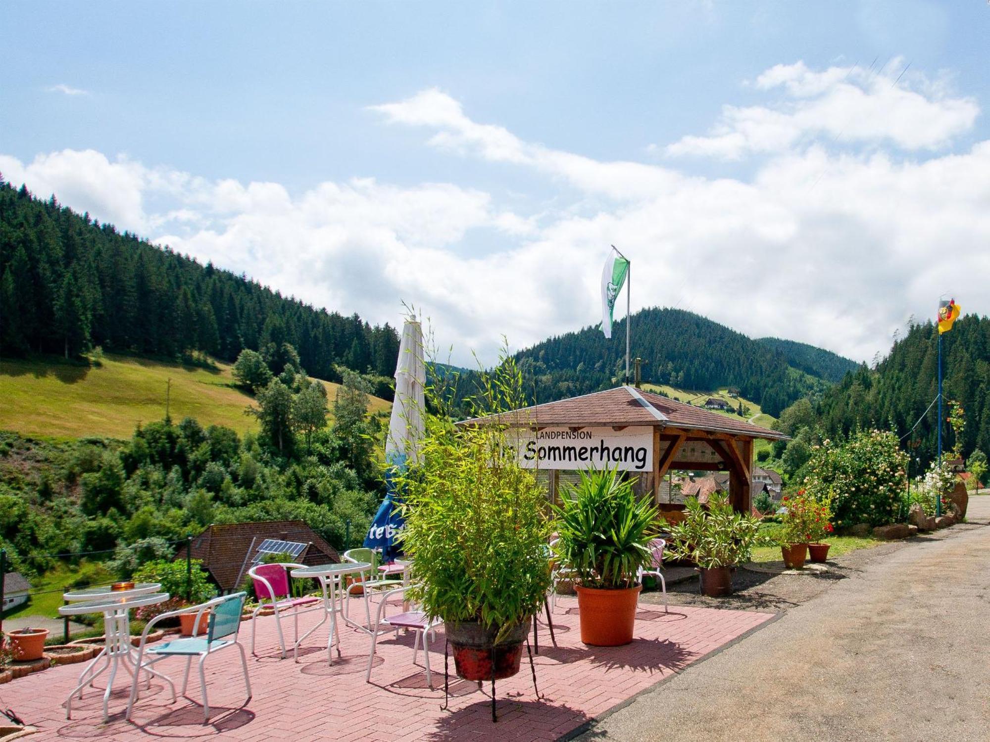 Landpension Am Sommerhang Bad Rippoldsau-Schapbach Buitenkant foto