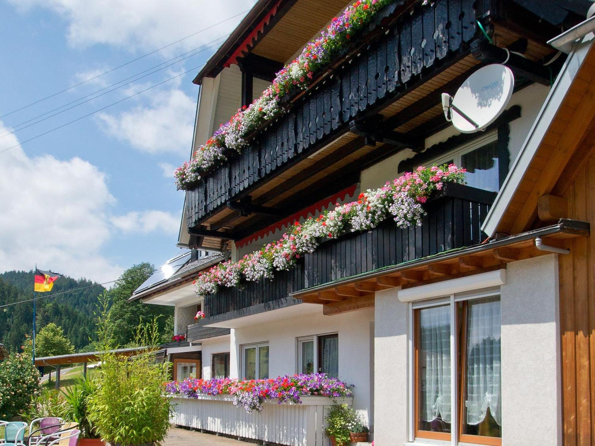Landpension Am Sommerhang Bad Rippoldsau-Schapbach Buitenkant foto