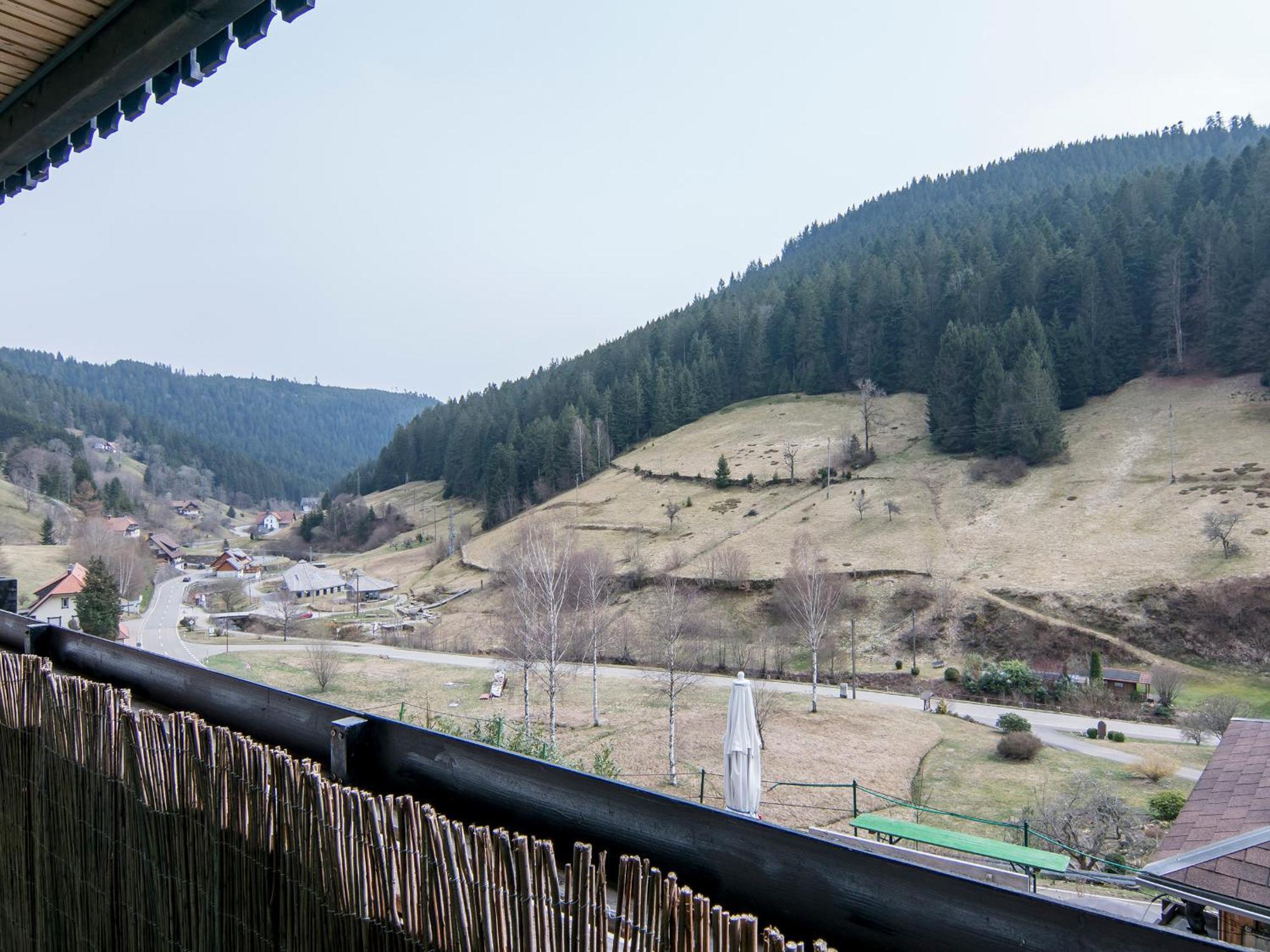 Landpension Am Sommerhang Bad Rippoldsau-Schapbach Buitenkant foto